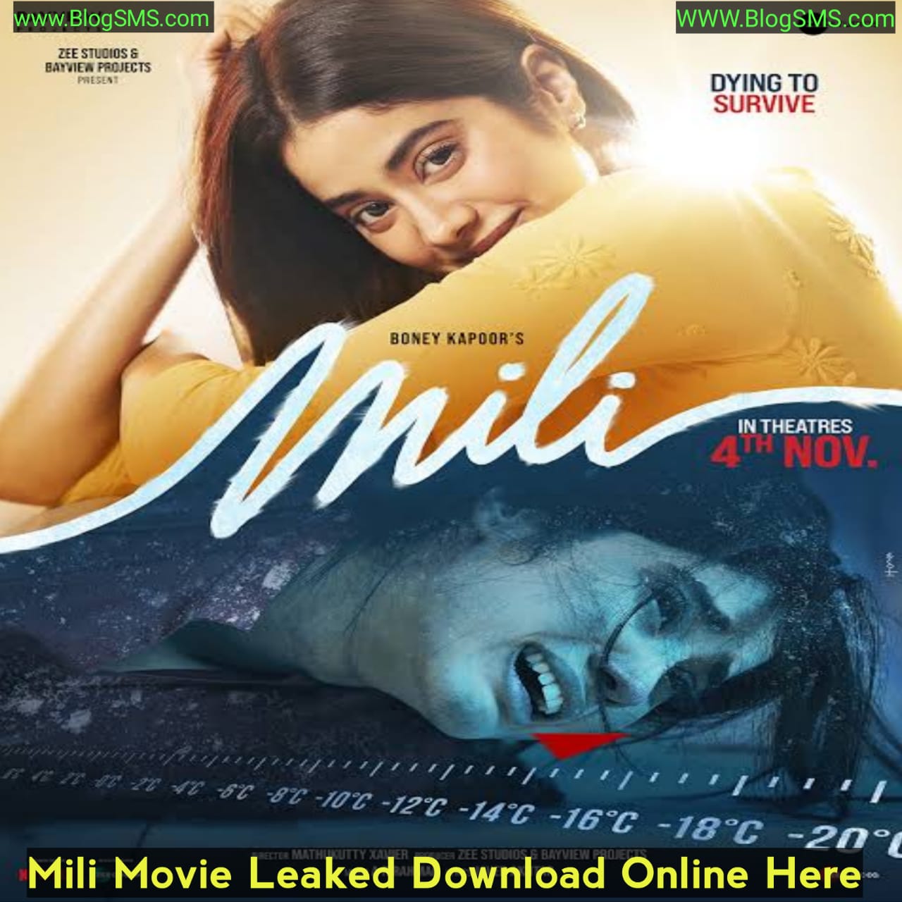 Mili Movie Download Online Leaked on Filmyzilla, Tamilrockers, Telegram Link and other Torrent Websites